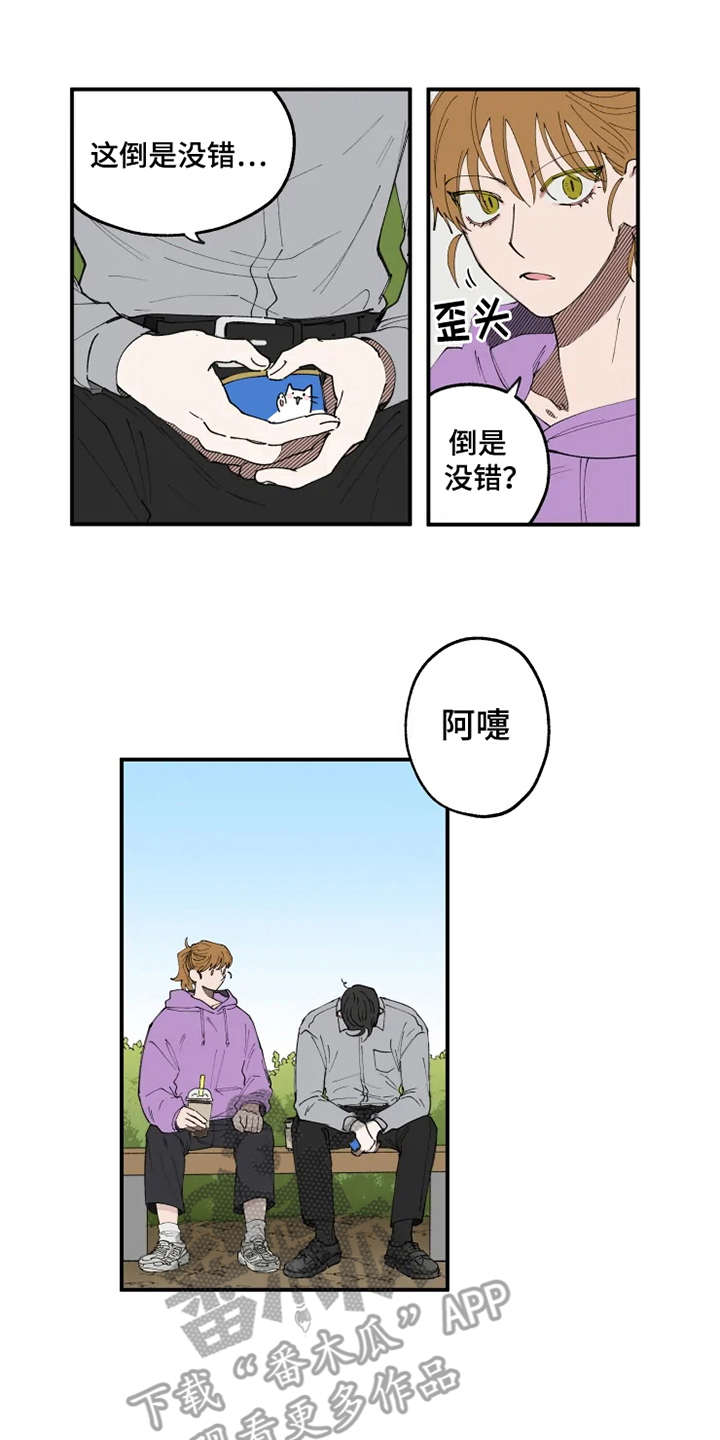 第8章：猫咪10
