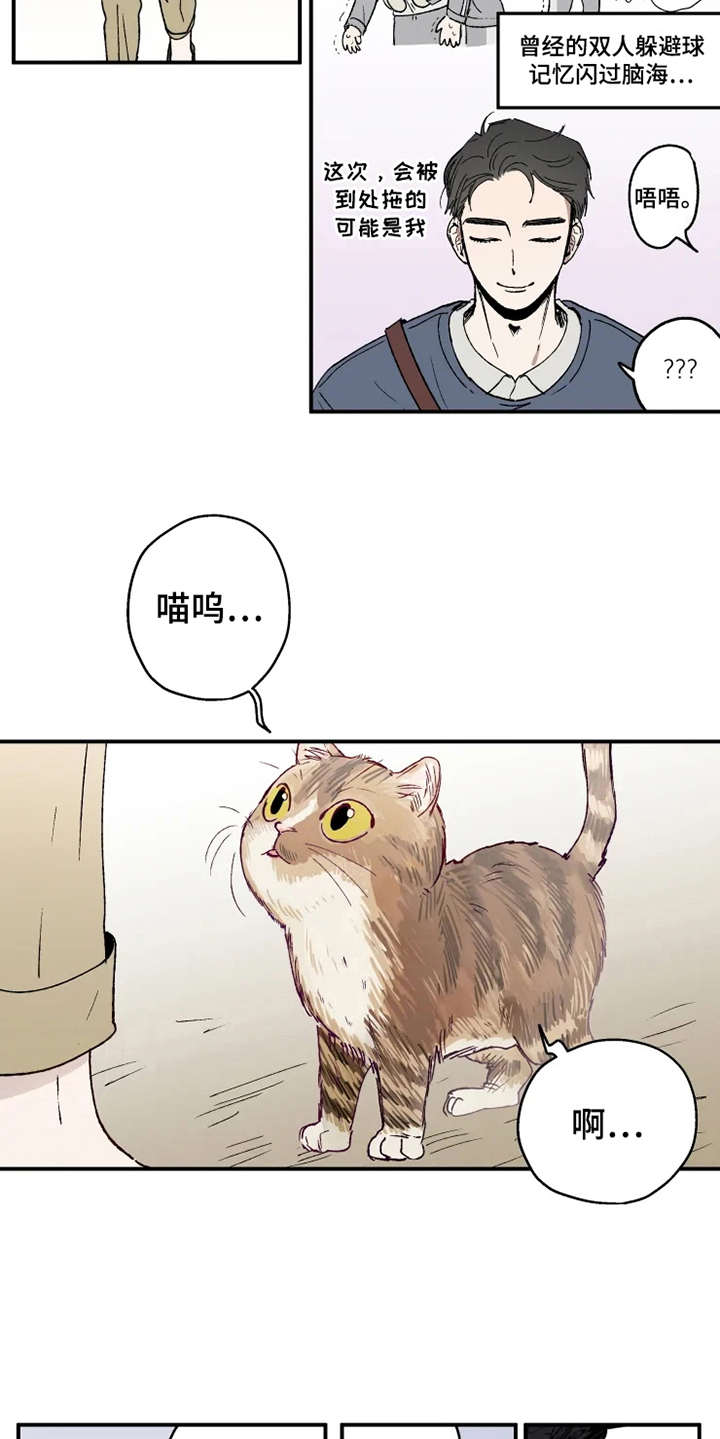 第23章：出谋划策11