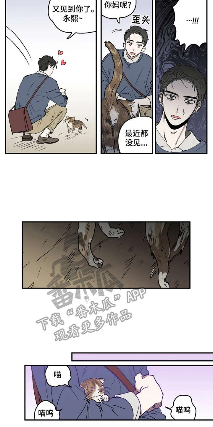 第23章：出谋划策12