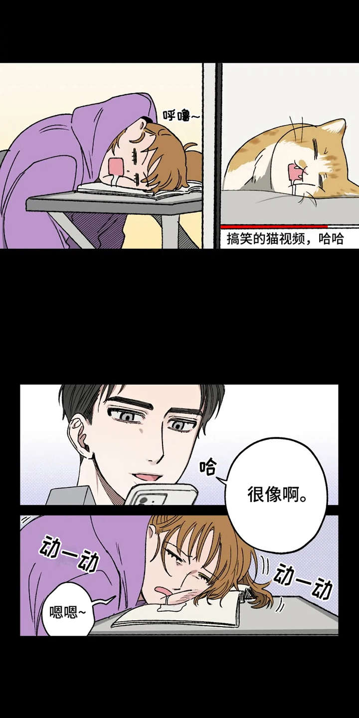 第21章：很在意15