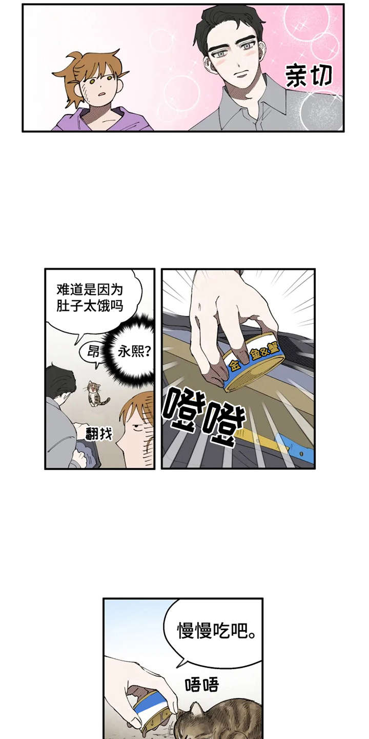 第8章：猫咪7
