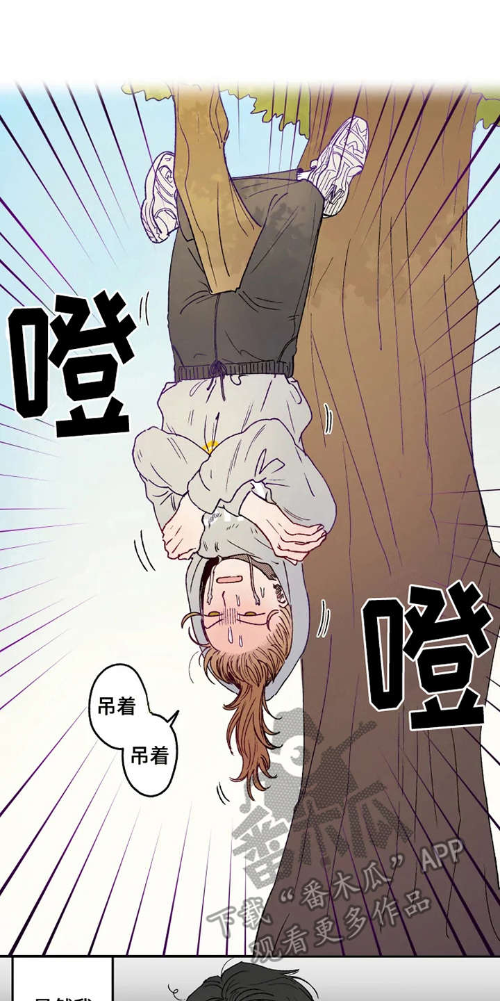 第20章：倒吊13