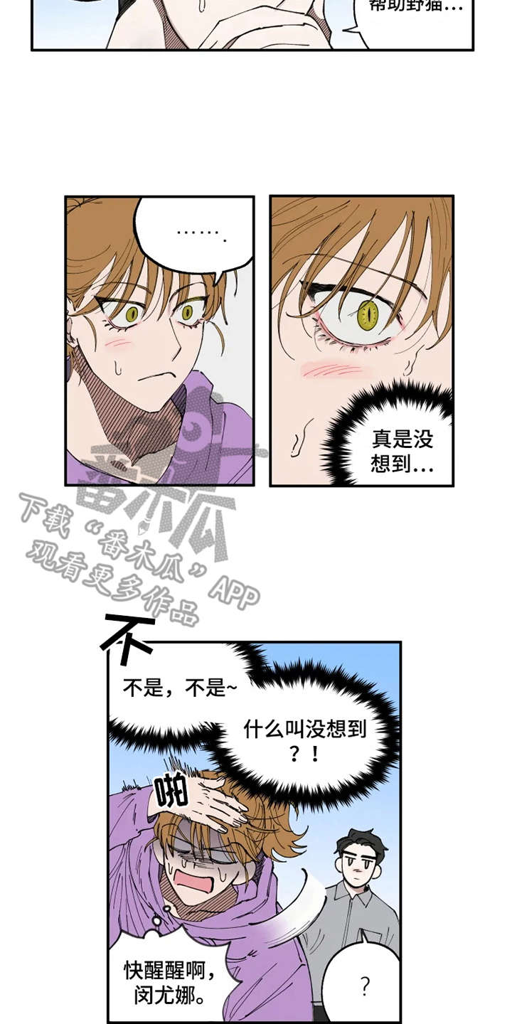 第8章：猫咪12