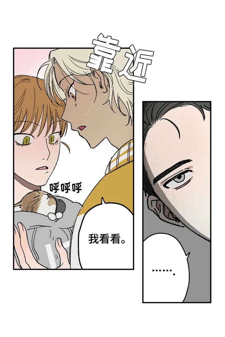 第21章：很在意5