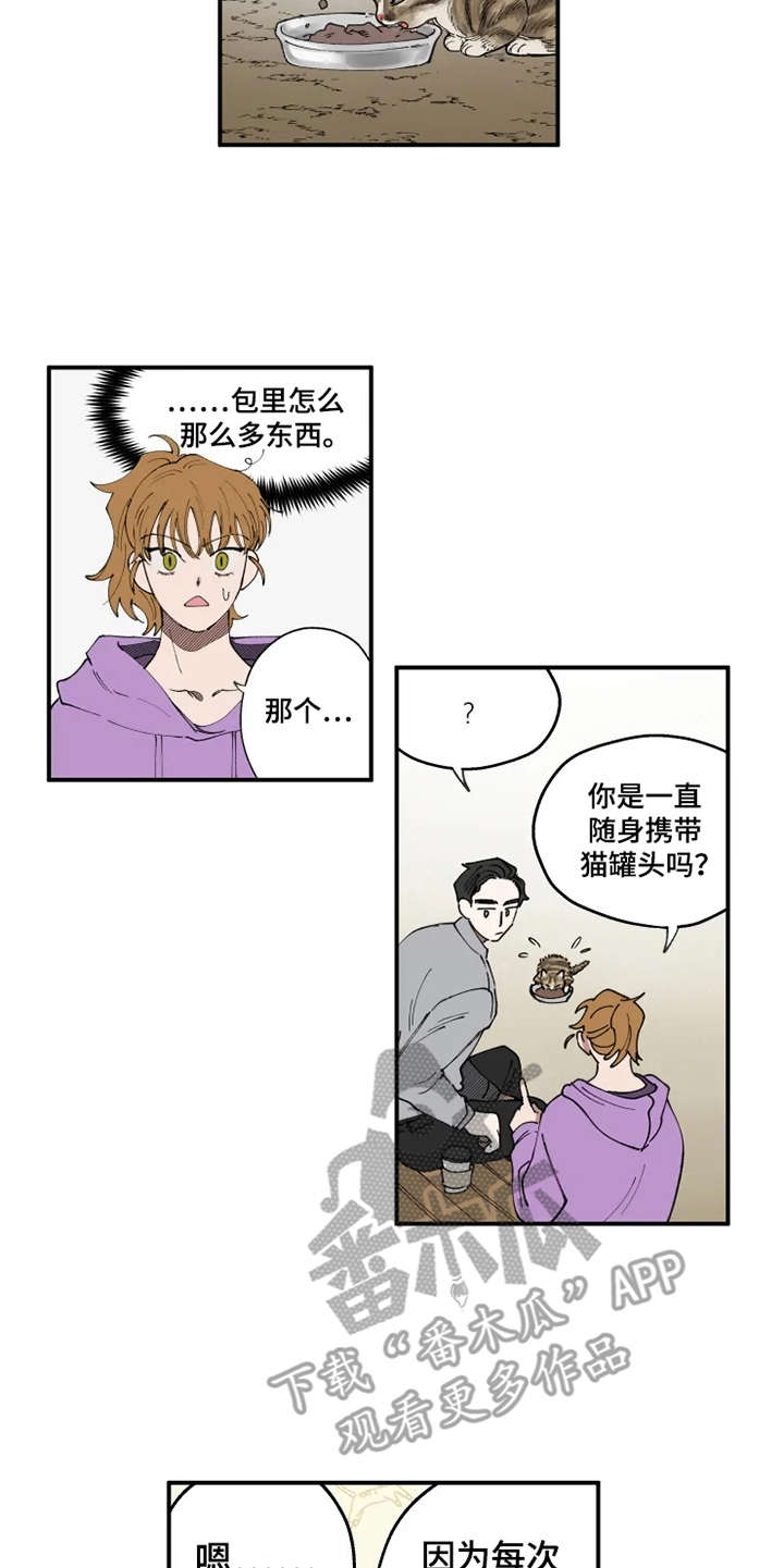 第8章：猫咪8