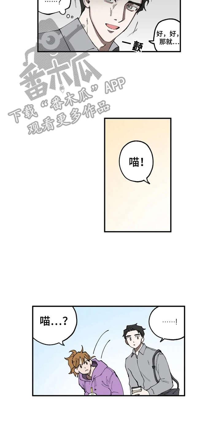 第8章：猫咪5