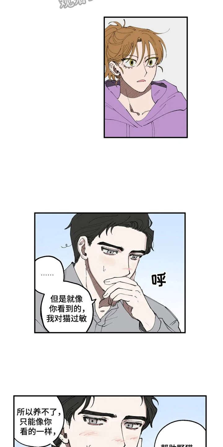 第8章：猫咪11