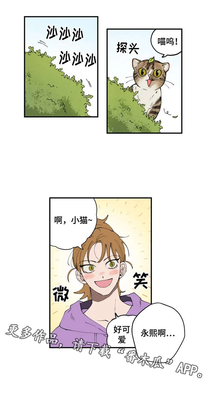 第8章：猫咪6