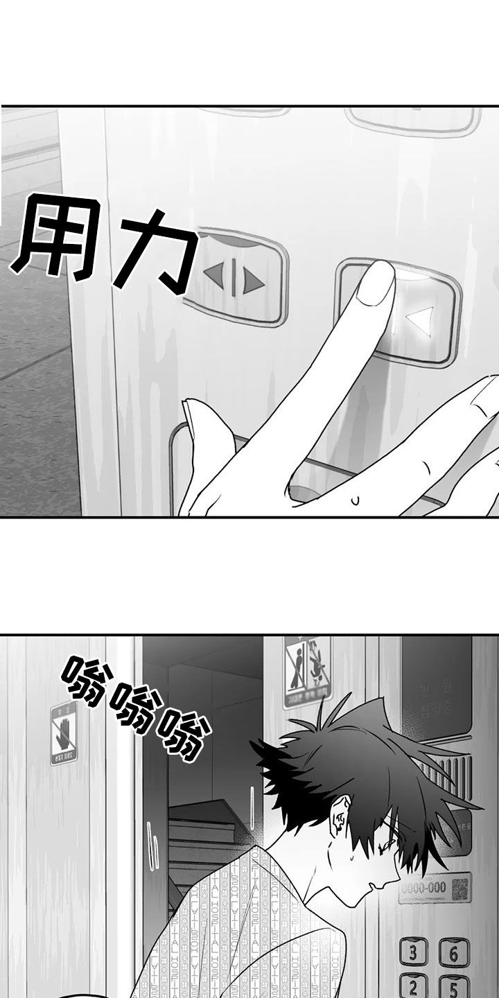 第54章：发现17