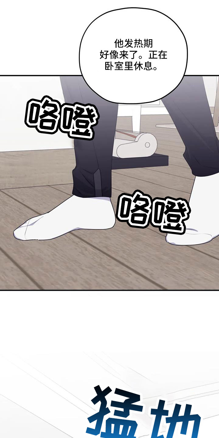 第116章：【番外】气味19