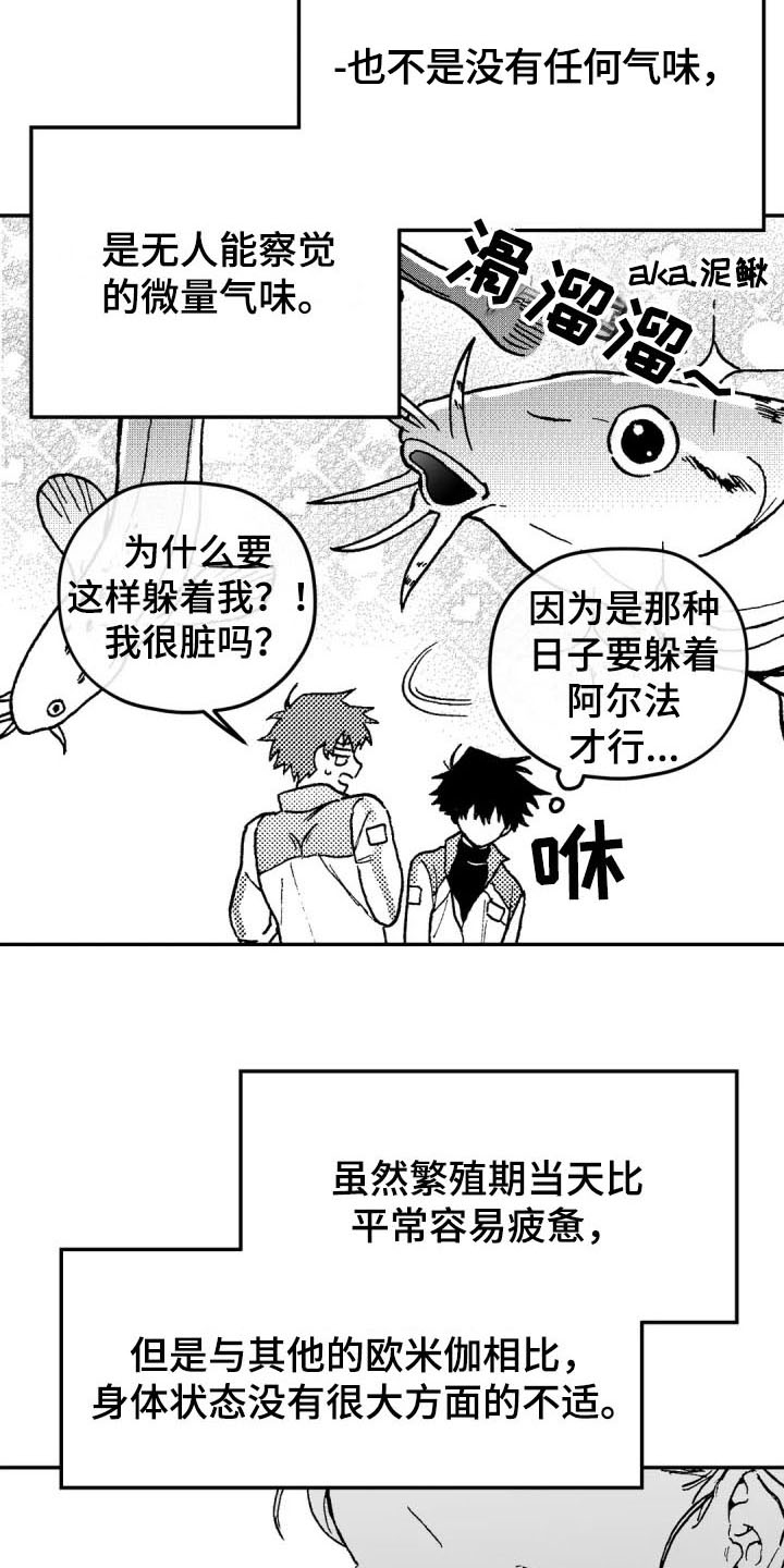 第3章：特殊16