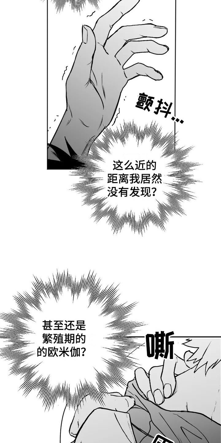 第3章：特殊11