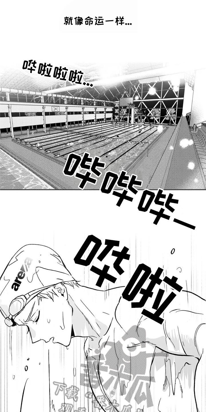 第6章：转好3