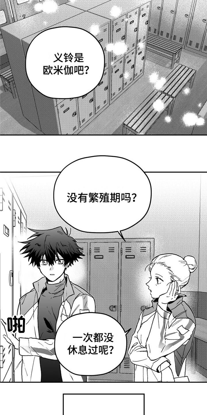 第3章：特殊14