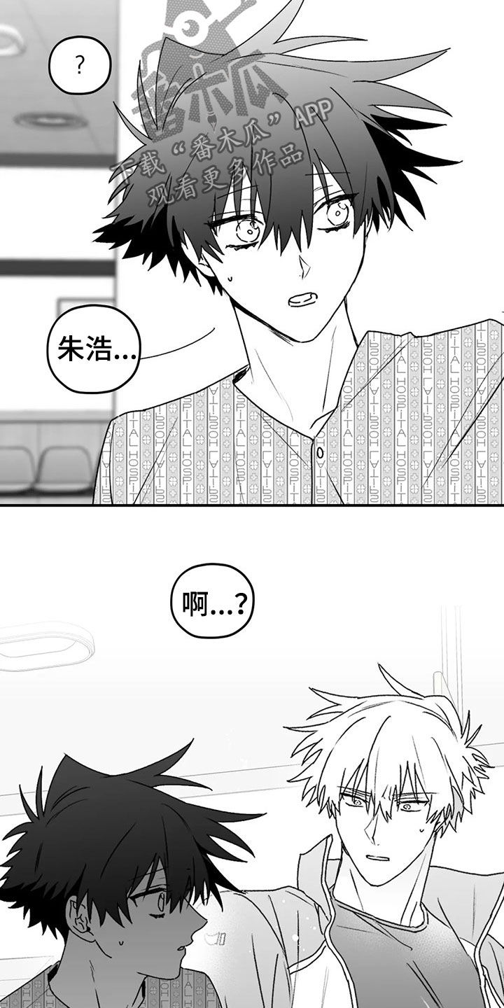 第54章：发现10