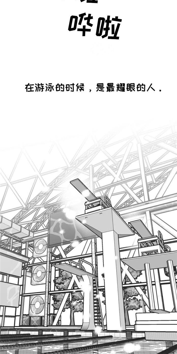 第39章：耀眼17