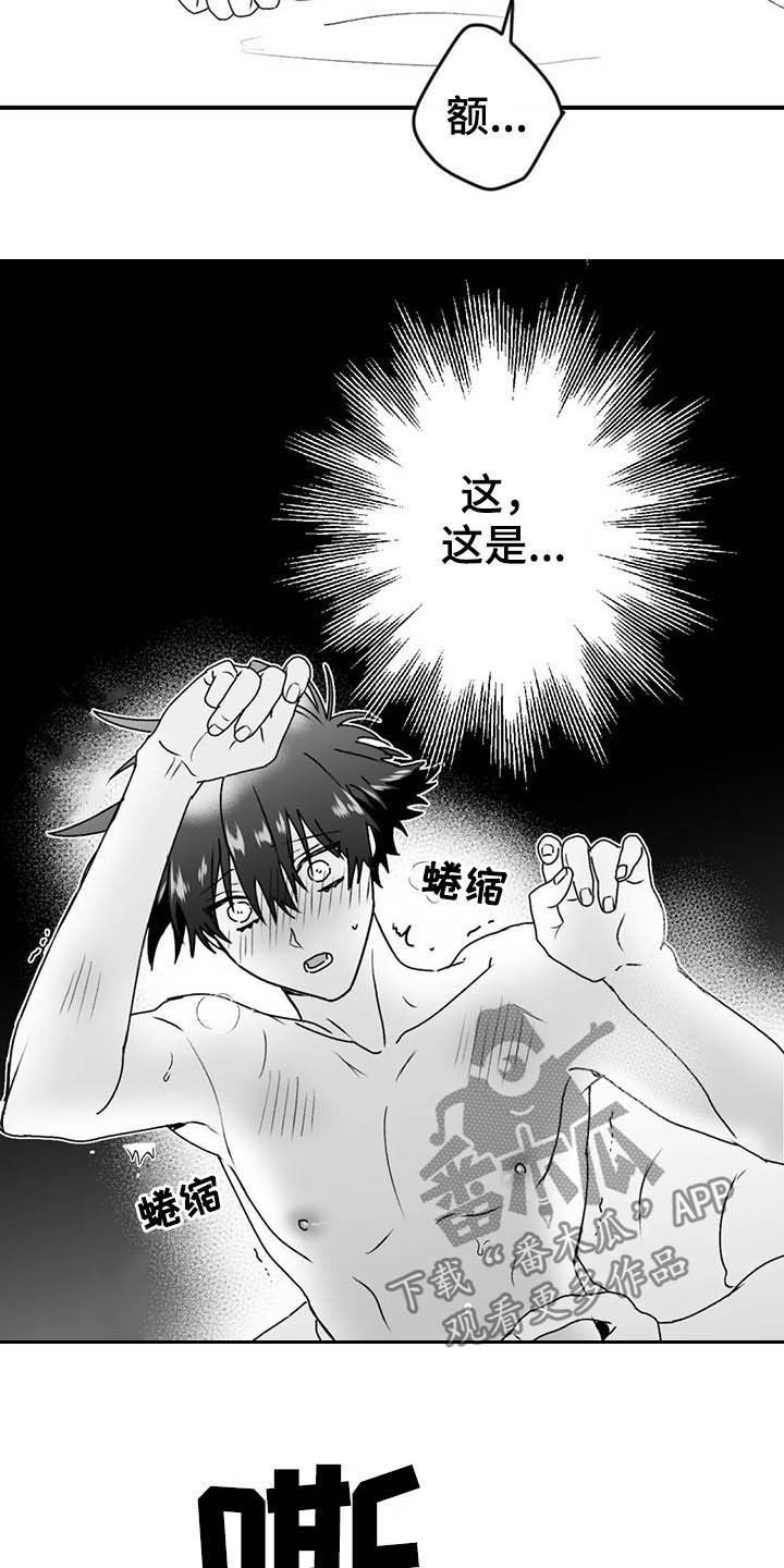 第60章：【第一季完结】消失9