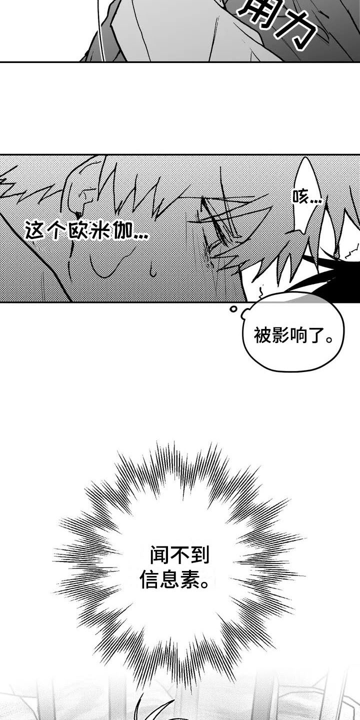 第3章：特殊12