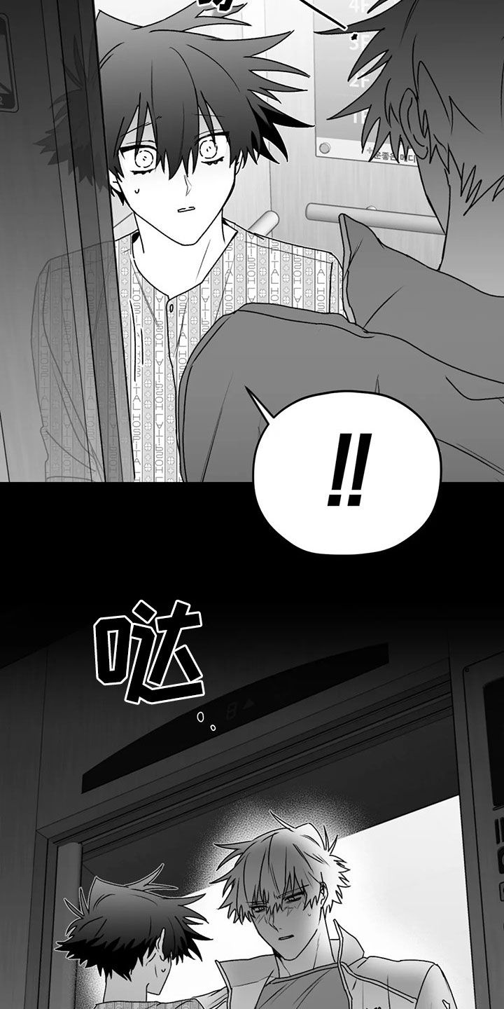 第54章：发现19