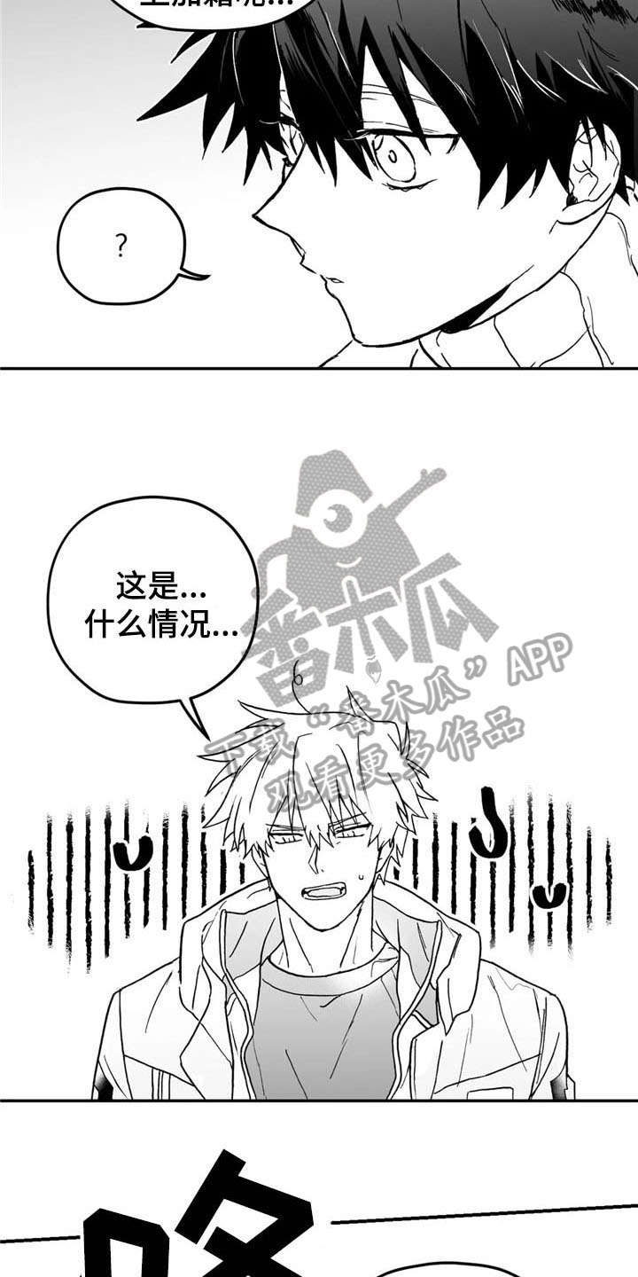 第7章：打听10
