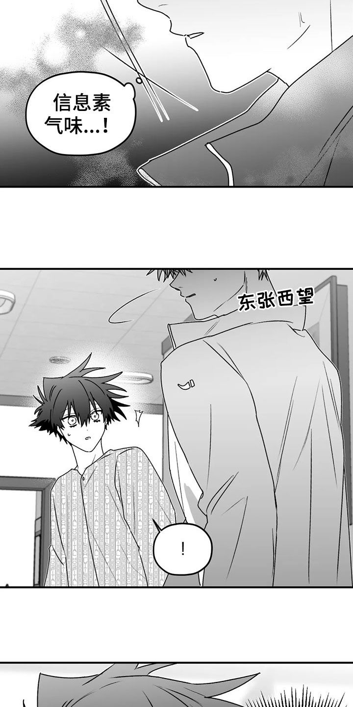 第54章：发现13