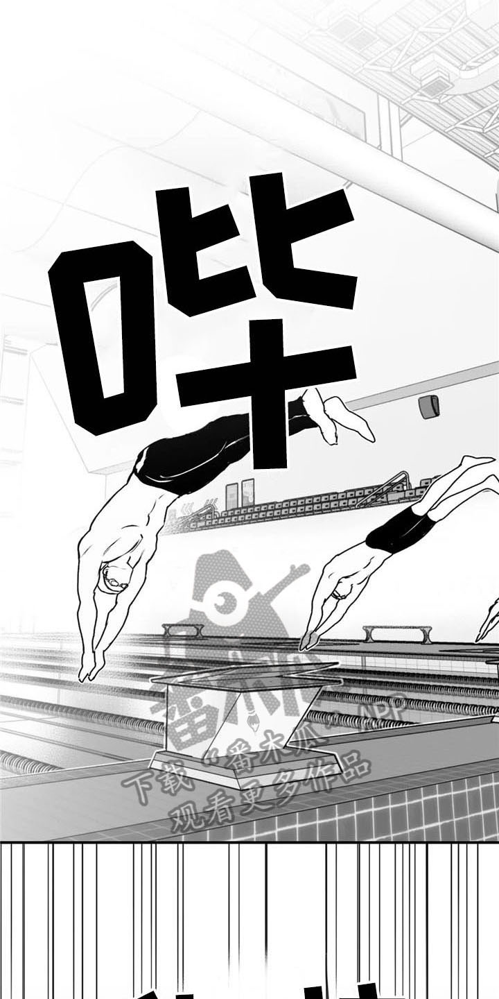 第39章：耀眼15