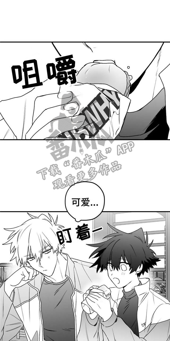 第49章：询问9