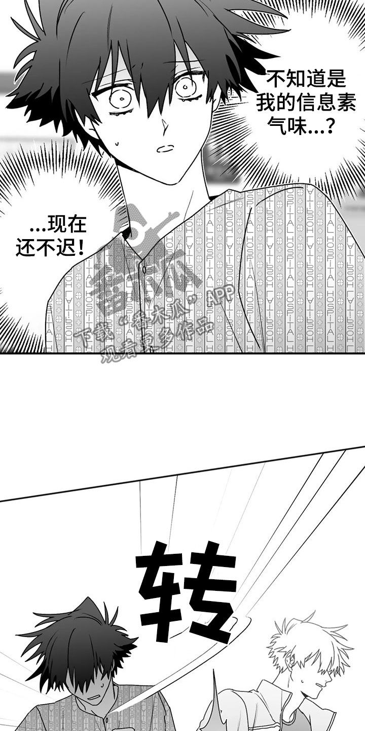 第54章：发现14