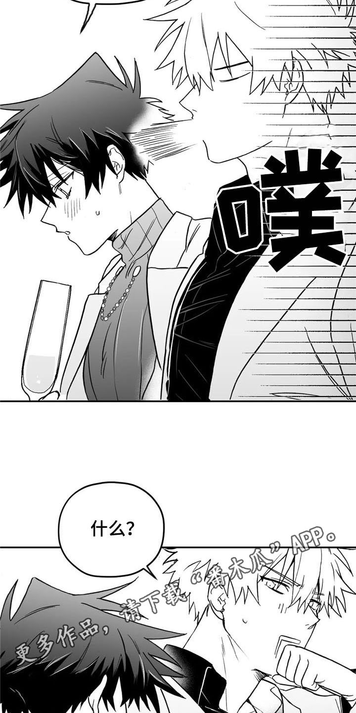 第17章：造型13