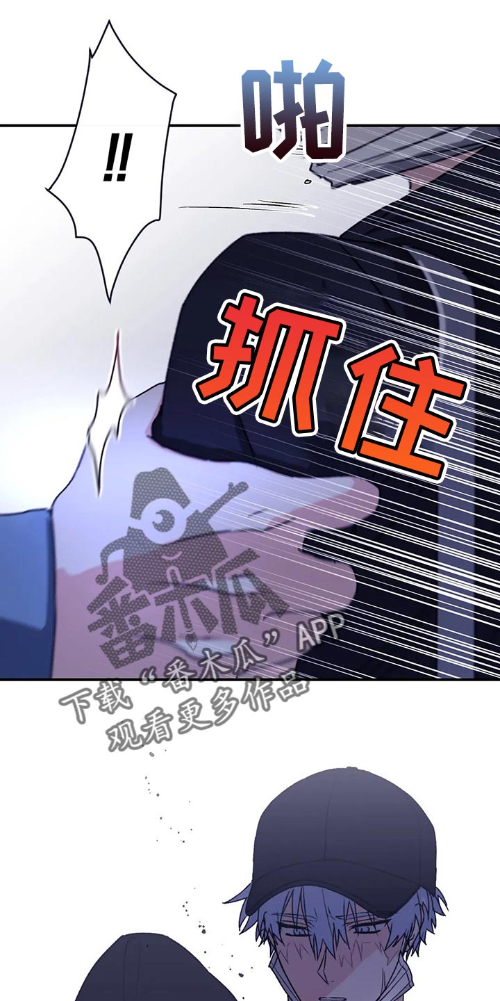 第67章：【第二季】口味变多了7