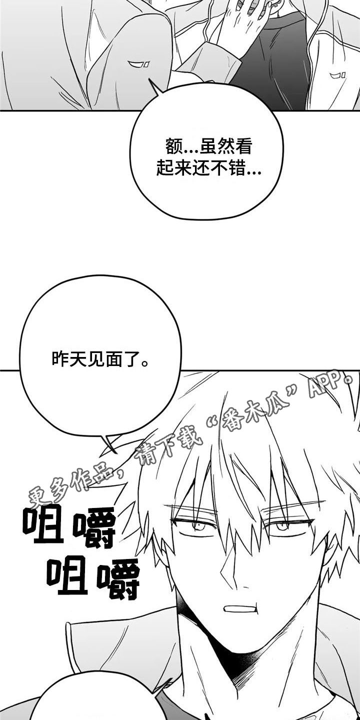 第16章：在意16