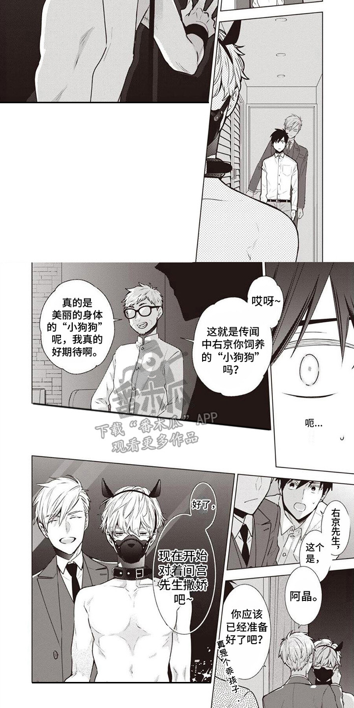 第5章：工作内容6