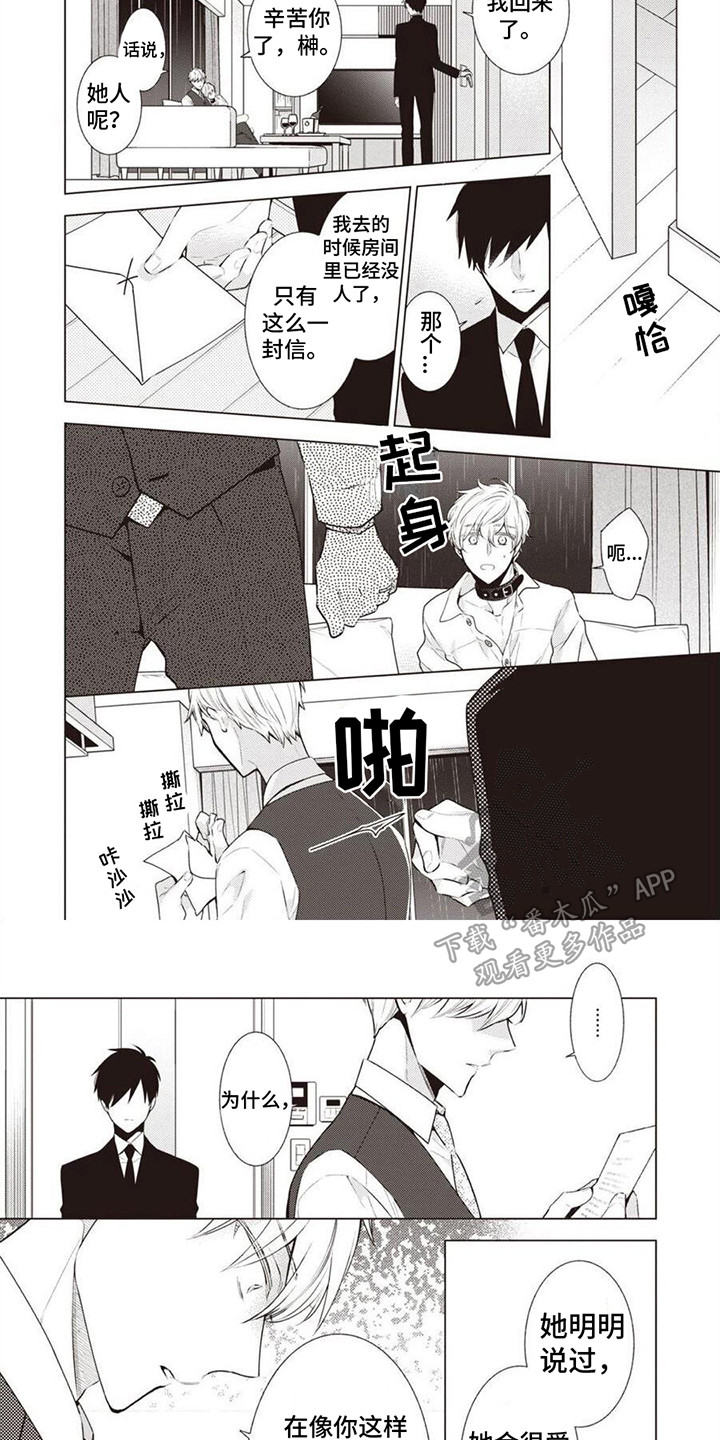 第11章：信件5