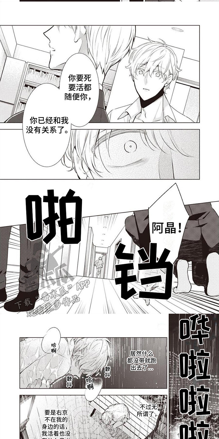 第12章：抛弃5