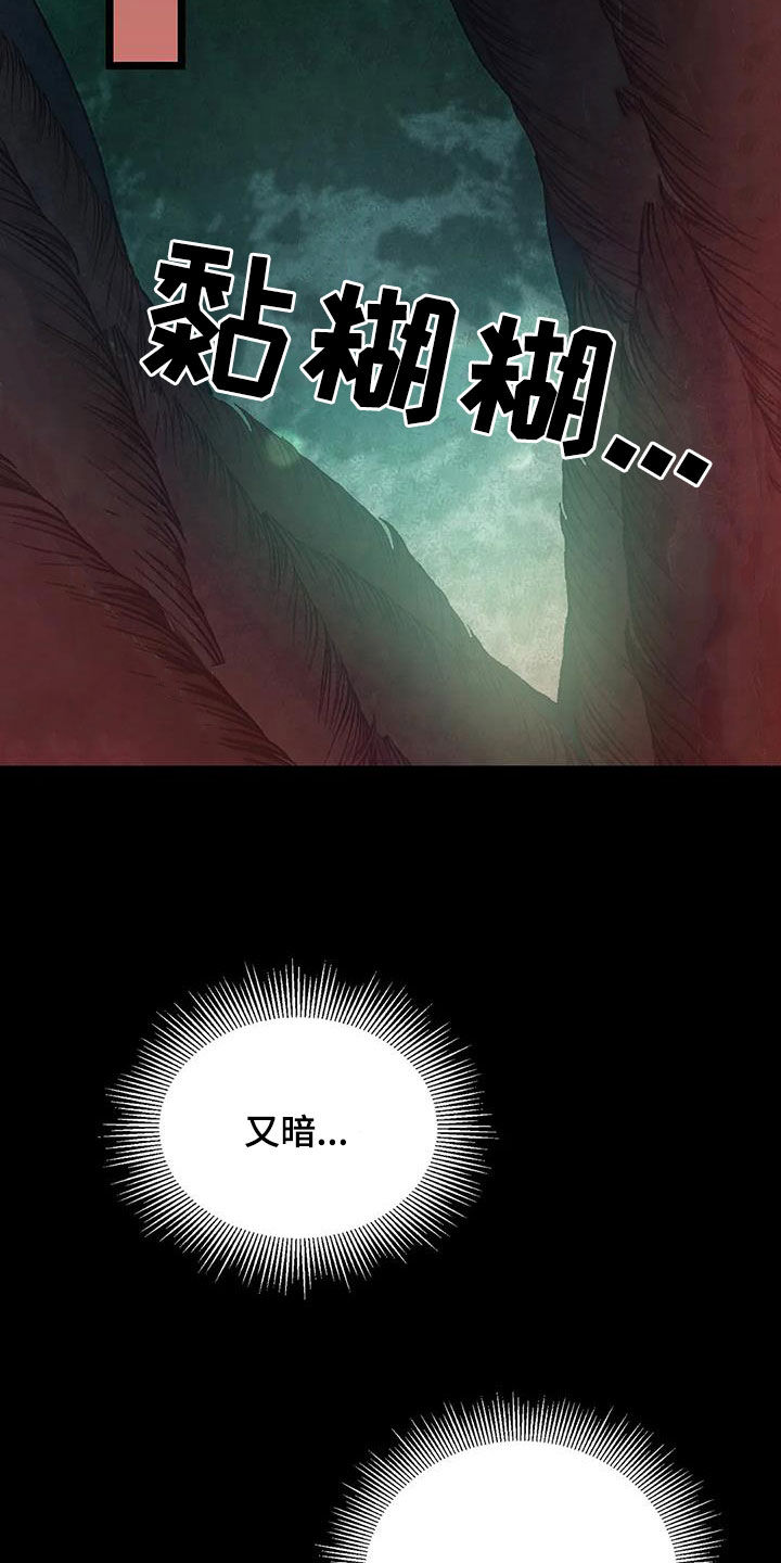 第30章：不可抗力17
