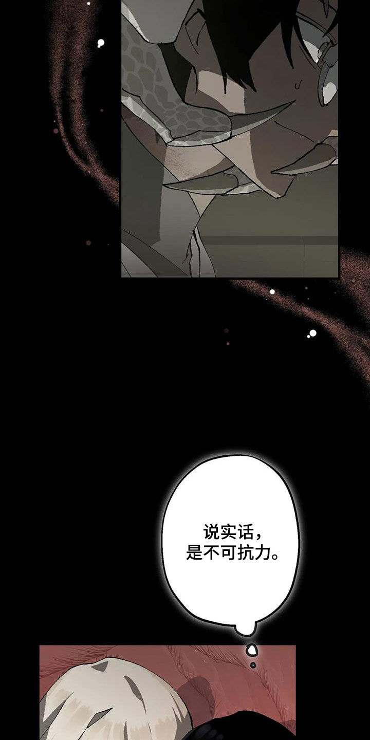 第30章：不可抗力24