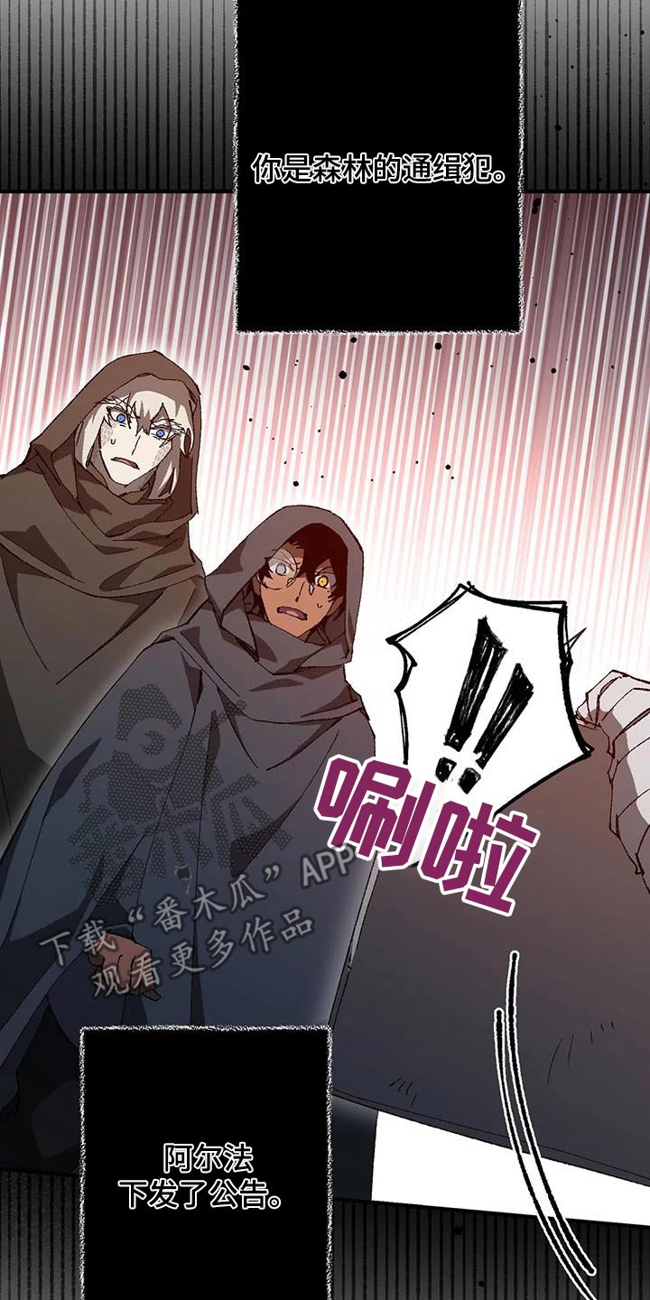 第45章：通缉犯18