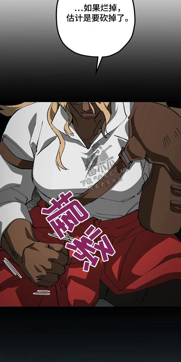 第36章：疯狂11