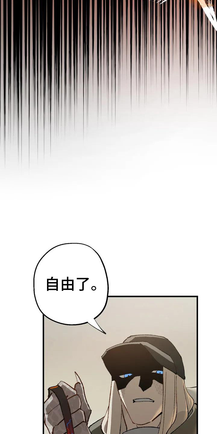 第4章：跟着5
