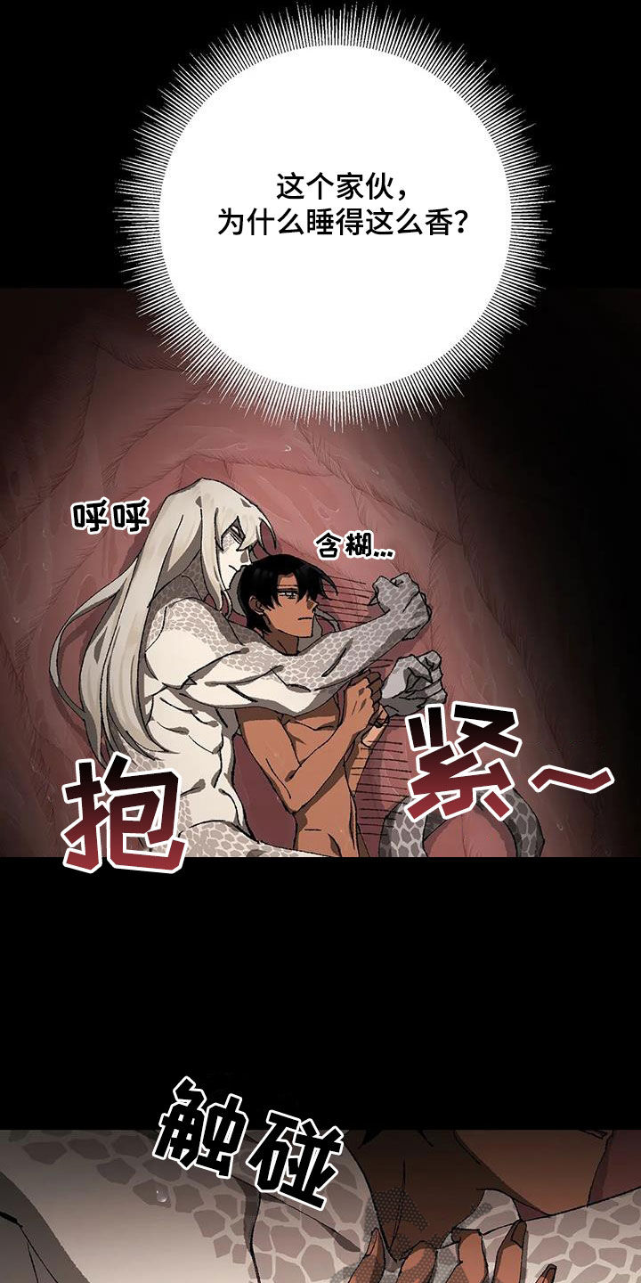 第30章：不可抗力19