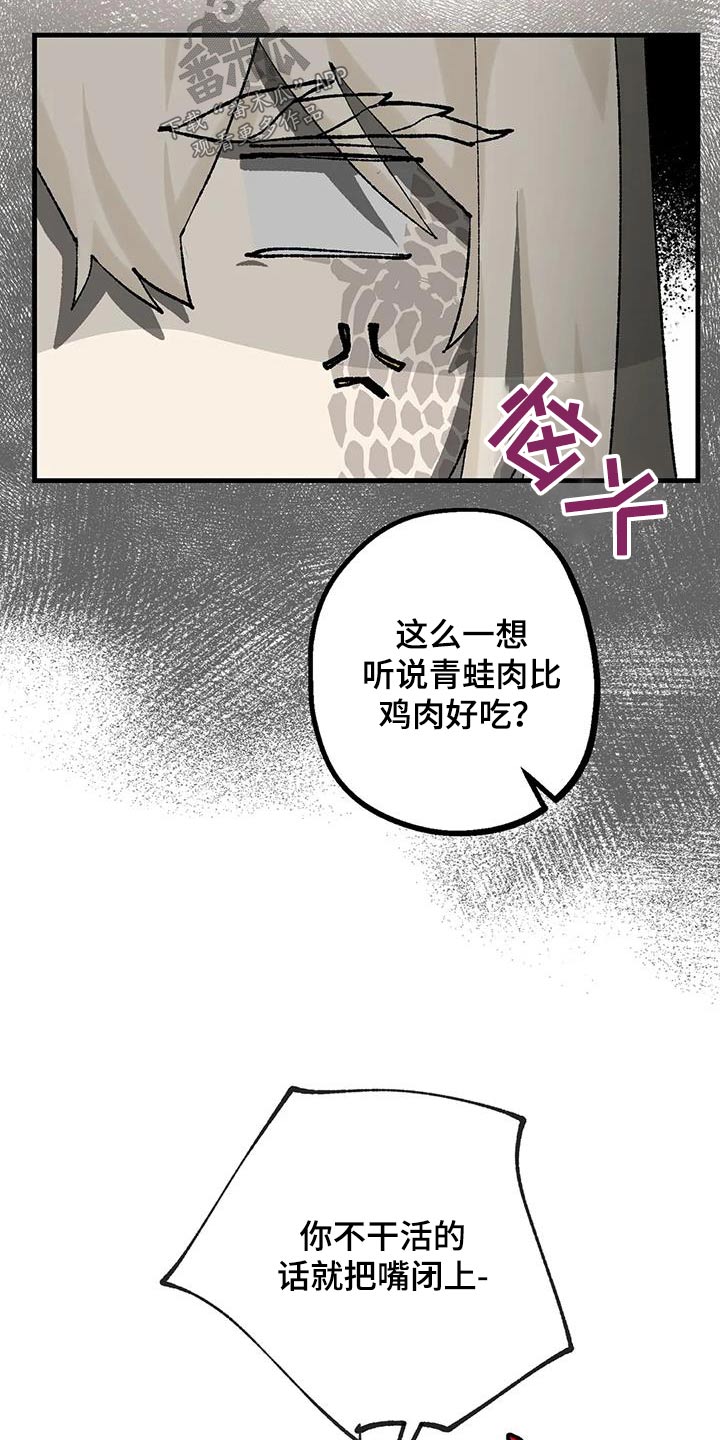 第39章：成分20