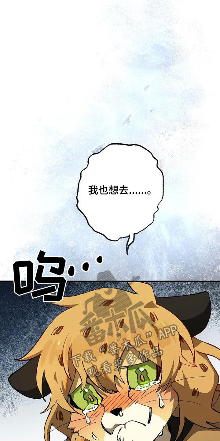 第33章：危机17