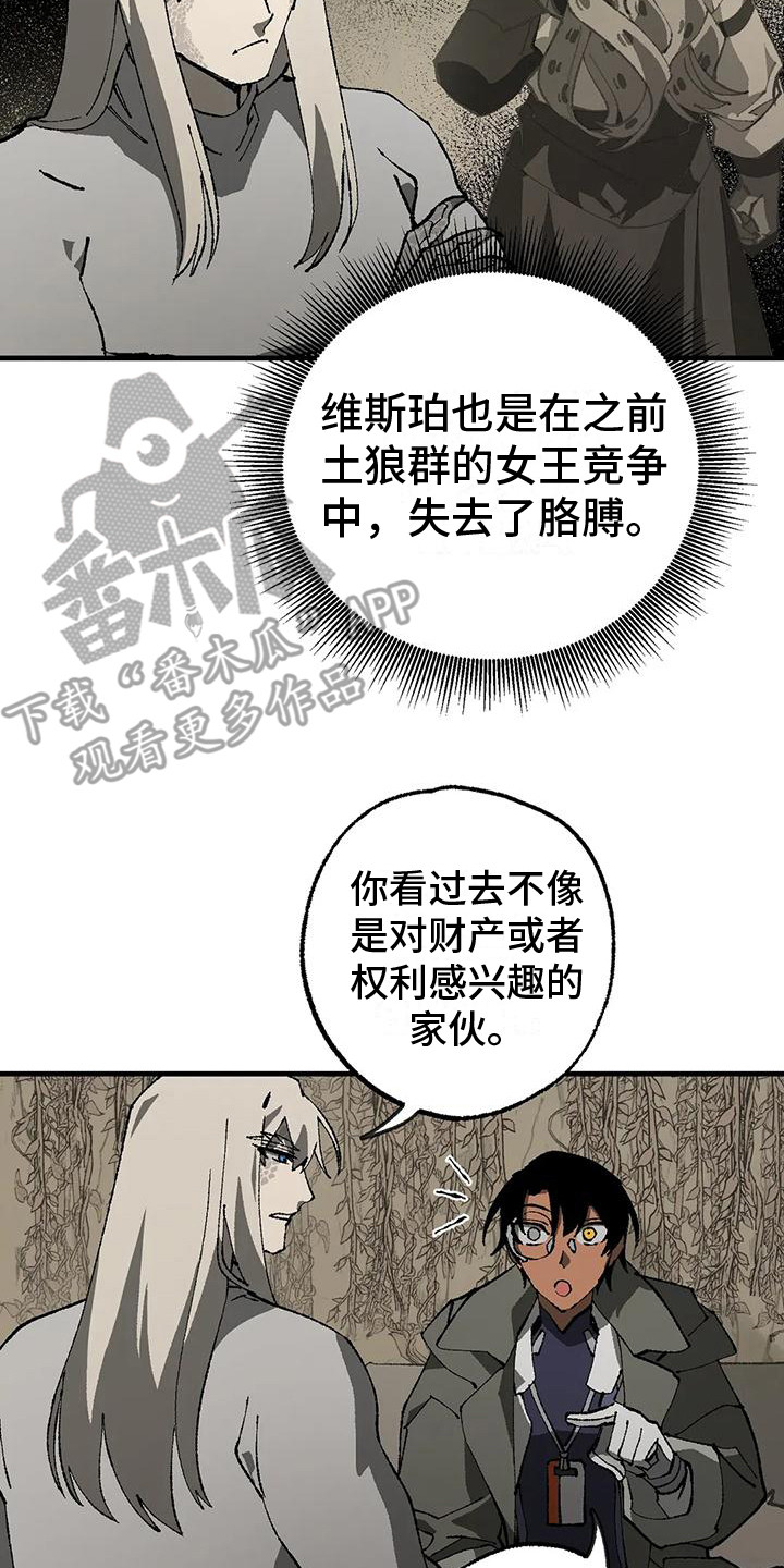 第12章：解释16