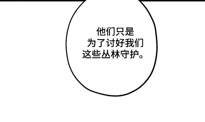 第28章：丛林守护33
