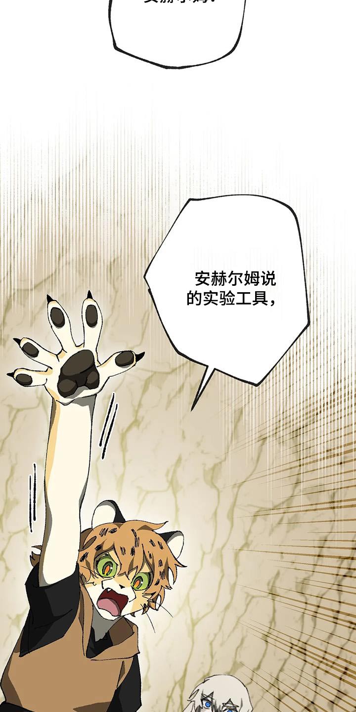 第42章：工具24