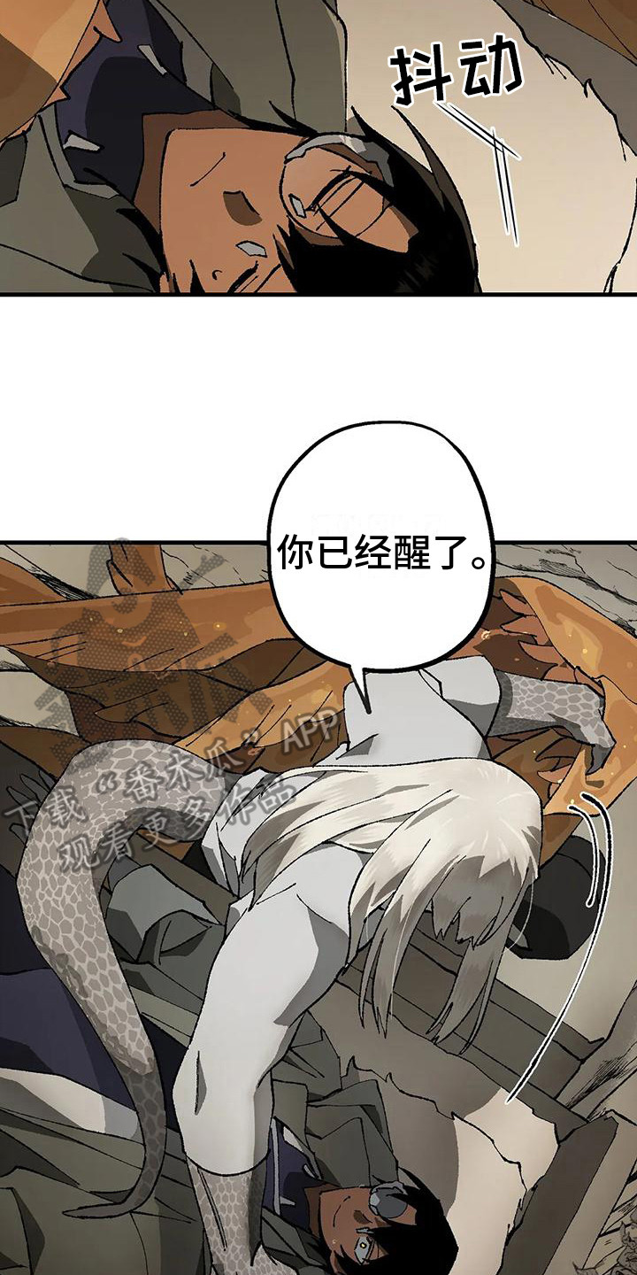 第12章：解释1