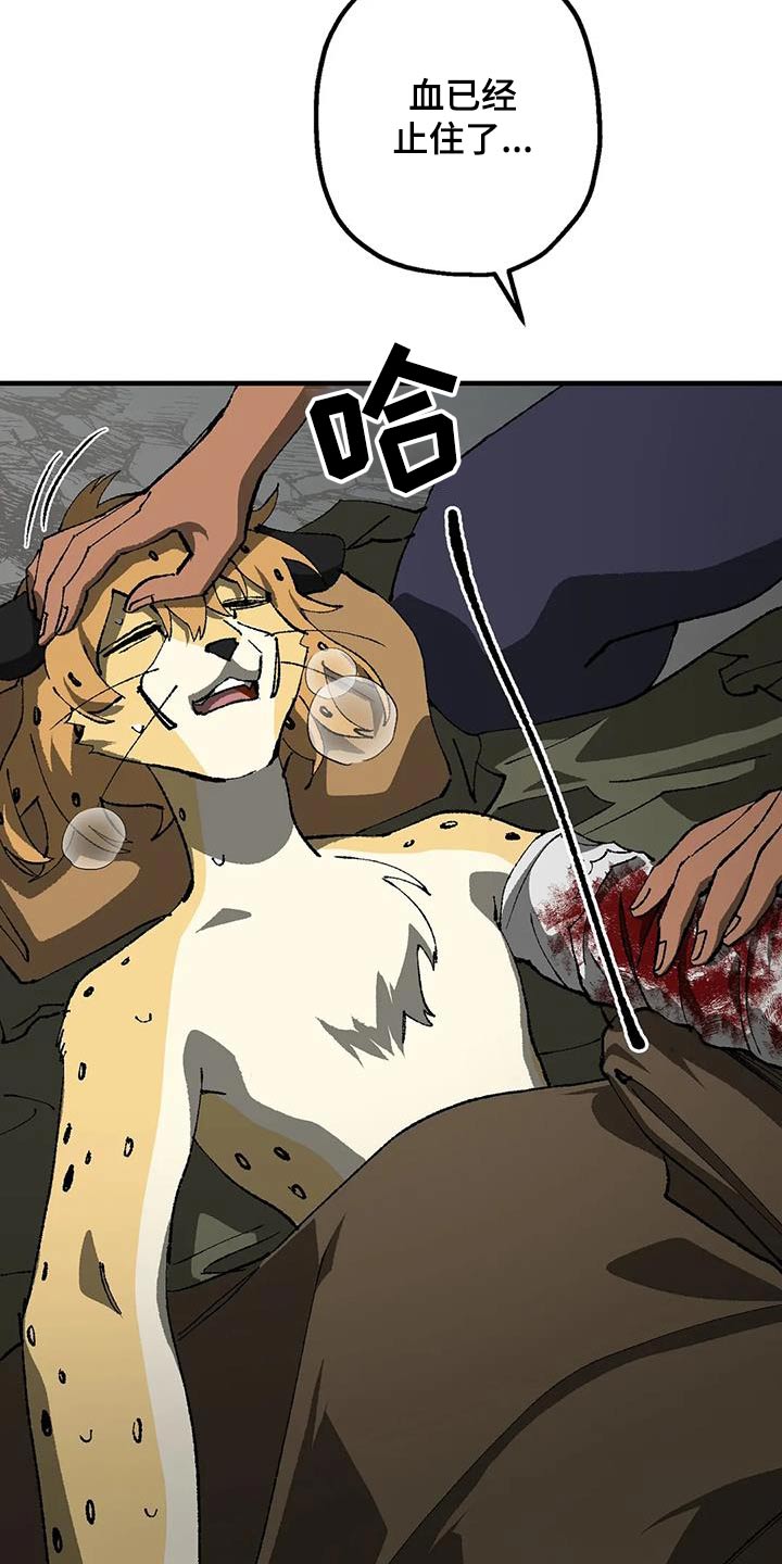 第36章：疯狂9