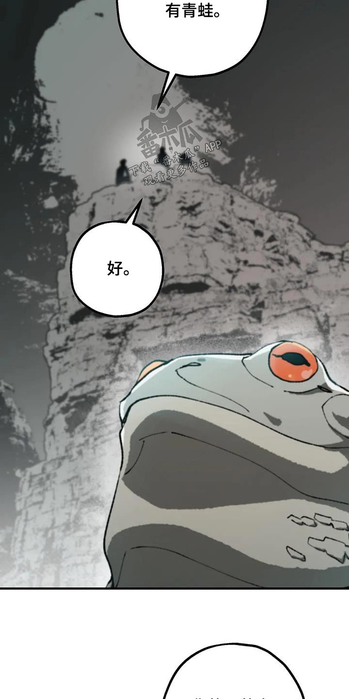 第36章：疯狂16