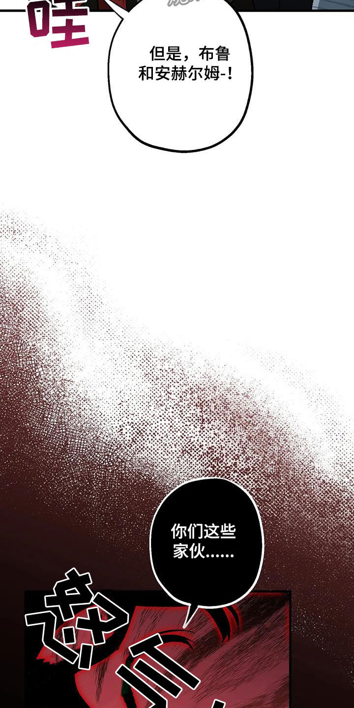 第33章：危机14