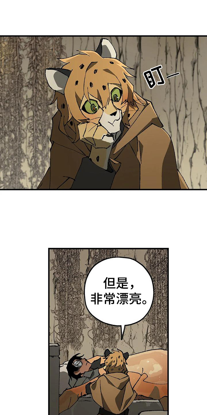 第11章：好奇6